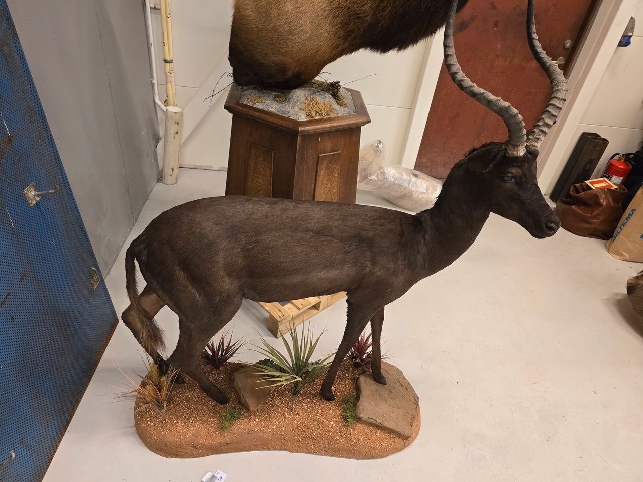 Image 2